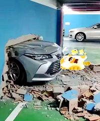 ˭��˵��ϵ��Ƥ������ǽ�˳�ͷ��û����