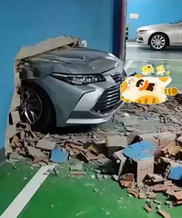 ˭��˵��ϵ��Ƥ������ǽ�˳�ͷ��û����