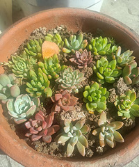 [��Ȥ��]����ѧ��ѧ��Ӣ����á����...һ��Ҫ������