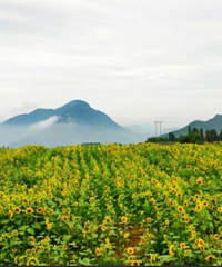 ȥƽĶɽ壬ͬ＾ڱػƽ