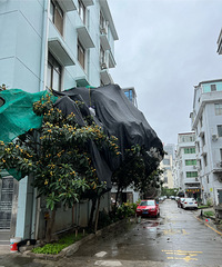 ��Щ���������ǻ����Լ��ֵ���