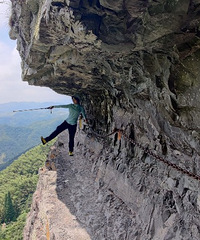 ռNo.64λɽ߷ӥ;αص