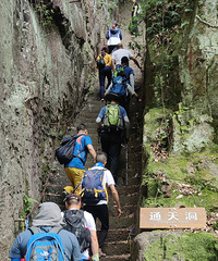 ռNo.64λɽ߷ӥ;αص