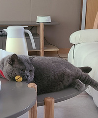 98����ҿ�ʼ�����ˣ�