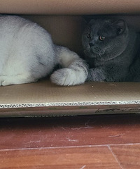 98����ҿ�ʼ�����ˣ�