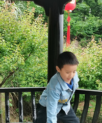 �������ŷ幫԰��ȫ�������ȶ�����