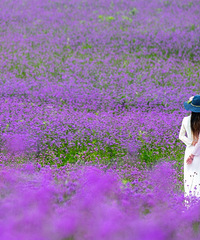 81�����MM�������һŮ����ϣ�����ĵ�һö����Ե�İ�������