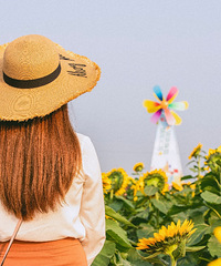 �糾���ͣ����й�;��Ҫ���з��������򶨾�����