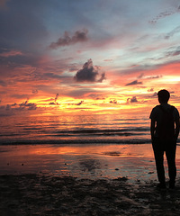 ���뵥��δ����������飬ϣ������90��