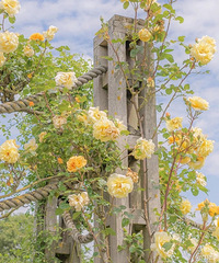 ������û��ϵ���ǵô��������ᶨ��85��������