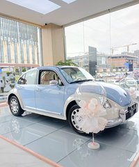 ŷ������è��������İ�����������Ƥ�߲������ˣ�