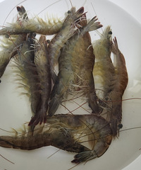 [��ʳ]��ͥ��ͼǻ���֭�˹�