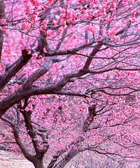 �ٺ�GG���з��г��Ѵ���ϵ�����