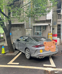 ���������ġ���ͣ��������ͦΪ��ʵϰ�ڵ�˾��