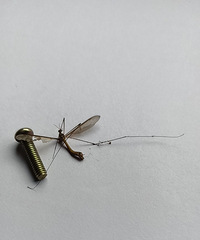 ����������������ô������ӣ������������ʲô�о�