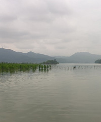 2022һСգƽ֮ĸϰ֮