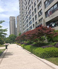 ���̼�¼:�����׸��b�����������̵����������