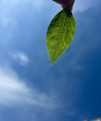 [����]��ĸ�����ͬ��İ��飬��Ҫ�������Ǽ�������أ�