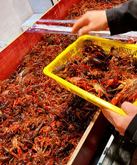 �����Ϻ�о�ȱ����������Ҳ��ó�