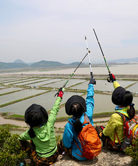 [����]�ٺ�����һ���ƽ𺣰��ߣ�ɵñɽ�����ٵĺ�ȥ��