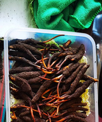 ��ѳ�ݣ�Ҫ��˵�������