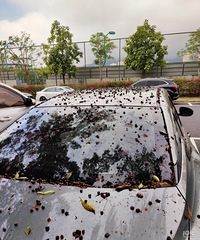 ���������ġ������ˣ�ͣ������һʱˬ��ϴ���Ѿ���