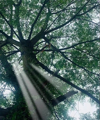 [��Ů��]35�꽷������δ��δ��GG���з�������