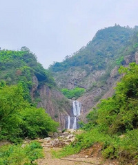 �����붶�׼���������߷�