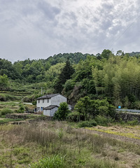 ��¶Ӫ�����᡿solo¶Ӫ