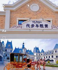 ������һ�ܿ�ҵ������ǵ�����θ��