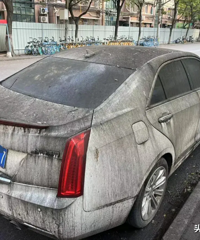 �Ϻ���ͷ�ĳ��òҰ���ͣ���������£��׳��ɻҳ�