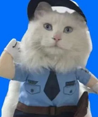 ���ٲ��죡�����ڵĳ��������������ߡ����顱