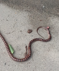 ������ǻ������𣿲�̫�ҿ���