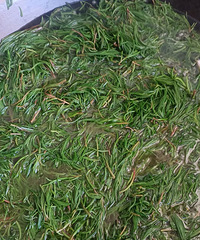 �������غ��������Ҿ�Ȼ����ʶ����Ұ��