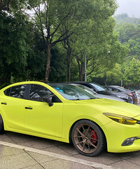 ���������ġ�ӫ��ɫȷʵ��������