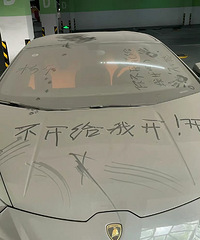 ���������ġ��Ҳ���һֻè�ڸ��ݳ�������ҹ��