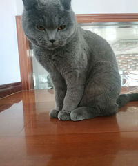 98�꽷��GG��������̸���Ҹ��������߱����Ĺ���