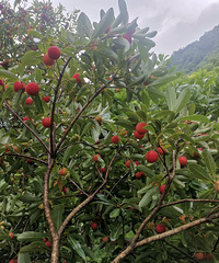 ̨�ݱ��غ�̿÷�������죬��������ʮ������