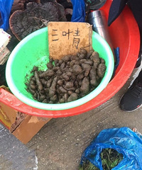 ��Ҷ��160Ԫ1��󲻹���ļٵģ�