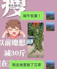 ������ո�Ĳ�ҩ��ҩ�ü�ֵ�������