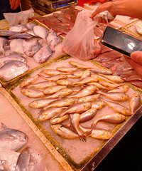 �����еĹ���÷ͯ�㣬180Ԫһ�����32Ԫ