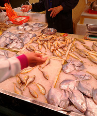 �����еĹ���÷ͯ�㣬180Ԫһ�����32Ԫ