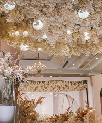 �����졿���ȡ��Ƶ꡿���һ��