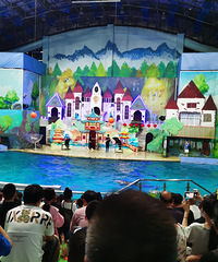 [����]̨�ݺ���������ô���£���ô�Ƶ����������յ�