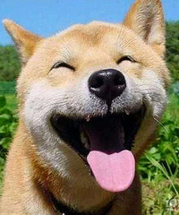 [�״�]ÿ���¸������ǧ����ѣ����ܱ������˹飿