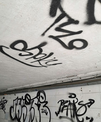 ���⡰��ͷ�Ļ�������ô������ͬ��