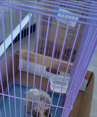 ����ʲô���ࣿ�ó�