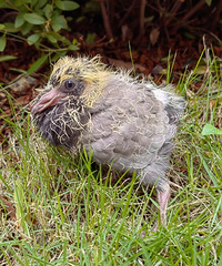 ����ʲô���ࣿ�ó�