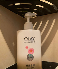 ޶��ë�������������������������ۺ���