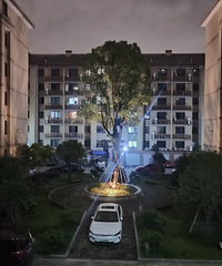 82�꽷��MM�������л鷿�����ĵ�������һ��